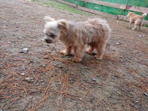 f:id:roukenhome-ann:20181113210254j:plain
