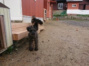 f:id:roukenhome-ann:20181113210318j:plain