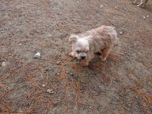 f:id:roukenhome-ann:20181113210322j:plain