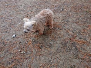f:id:roukenhome-ann:20181113210327j:plain