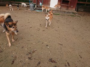 f:id:roukenhome-ann:20181113210333j:plain