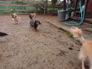 f:id:roukenhome-ann:20181113210342j:plain