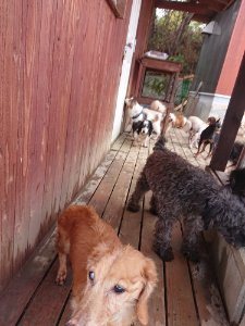 f:id:roukenhome-ann:20181113210347j:plain