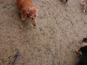 f:id:roukenhome-ann:20181113210425j:plain