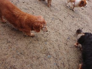 f:id:roukenhome-ann:20181113210430j:plain