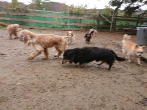f:id:roukenhome-ann:20181113210442j:plain