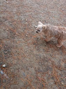 f:id:roukenhome-ann:20181113210447j:plain