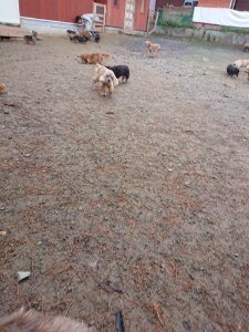 f:id:roukenhome-ann:20181113210451j:plain