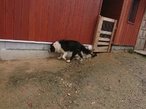 f:id:roukenhome-ann:20181113210457j:plain