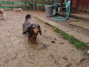 f:id:roukenhome-ann:20181113210508j:plain