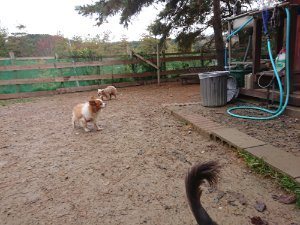 f:id:roukenhome-ann:20181113210516j:plain
