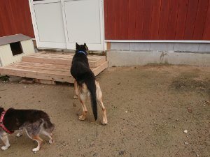 f:id:roukenhome-ann:20181113210531j:plain