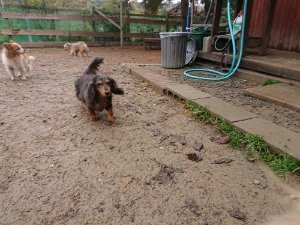 f:id:roukenhome-ann:20181113210543j:plain