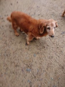 f:id:roukenhome-ann:20181113210547j:plain