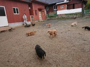 f:id:roukenhome-ann:20181113210551j:plain