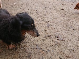 f:id:roukenhome-ann:20181113210755j:plain