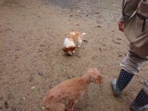 f:id:roukenhome-ann:20181113210908j:plain