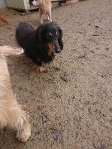 f:id:roukenhome-ann:20181113210914j:plain