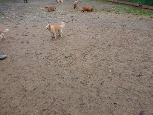 f:id:roukenhome-ann:20181113210926j:plain