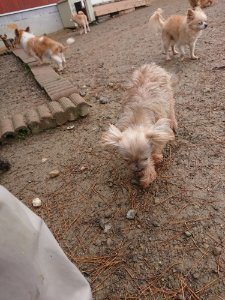 f:id:roukenhome-ann:20181113210931j:plain