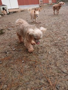 f:id:roukenhome-ann:20181113210935j:plain