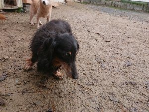 f:id:roukenhome-ann:20181113211007j:plain