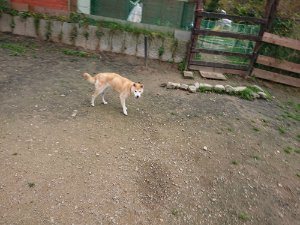 f:id:roukenhome-ann:20181113211612j:plain