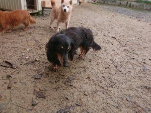 f:id:roukenhome-ann:20181113211633j:plain