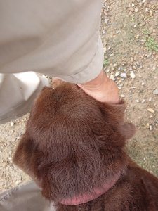f:id:roukenhome-ann:20181113211638j:plain