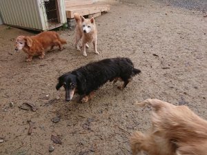 f:id:roukenhome-ann:20181113211740j:plain