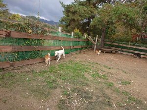 f:id:roukenhome-ann:20181113211826j:plain