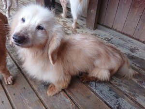 f:id:roukenhome-ann:20181113211836j:plain