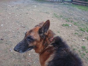 f:id:roukenhome-ann:20181115174643j:plain f:id:roukenhome-ann:20181115174643j:plain