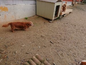 f:id:roukenhome-ann:20181115175032j:plain f:id:roukenhome-ann:20181115175032j:plain