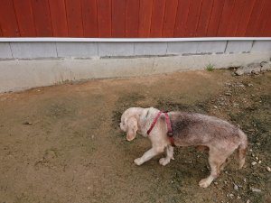 f:id:roukenhome-ann:20181115175036j:plain f:id:roukenhome-ann:20181115175036j:plain