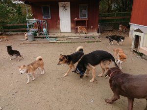 f:id:roukenhome-ann:20181115175045j:plain f:id:roukenhome-ann:20181115175045j:plain