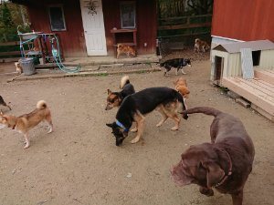 f:id:roukenhome-ann:20181115175121j:plain f:id:roukenhome-ann:20181115175121j:plain