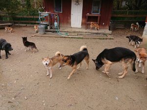 f:id:roukenhome-ann:20181115180837j:plain f:id:roukenhome-ann:20181115180837j:plain