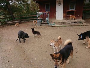 f:id:roukenhome-ann:20181115180842j:plain f:id:roukenhome-ann:20181115180842j:plain