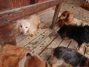 f:id:roukenhome-ann:20181115180903j:plain f:id:roukenhome-ann:20181115180903j:plain