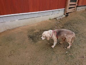 f:id:roukenhome-ann:20181115180918j:plain f:id:roukenhome-ann:20181115180918j:plain