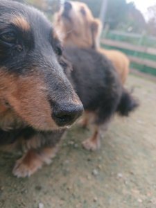 f:id:roukenhome-ann:20181115180959j:plain f:id:roukenhome-ann:20181115180959j:plain