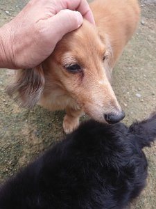 f:id:roukenhome-ann:20181115181350j:plain f:id:roukenhome-ann:20181115181350j:plain