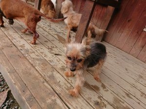 f:id:roukenhome-ann:20181115181429j:plain f:id:roukenhome-ann:20181115181429j:plain