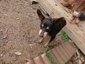 f:id:roukenhome-ann:20181115181614j:plain f:id:roukenhome-ann:20181115181614j:plain