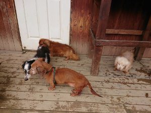 f:id:roukenhome-ann:20181115181622j:plain f:id:roukenhome-ann:20181115181622j:plain