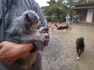 f:id:roukenhome-ann:20181115181644j:plain f:id:roukenhome-ann:20181115181644j:plain