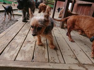 f:id:roukenhome-ann:20181115181700j:plain f:id:roukenhome-ann:20181115181700j:plain