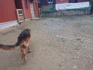 f:id:roukenhome-ann:20181115181704j:plain f:id:roukenhome-ann:20181115181704j:plain