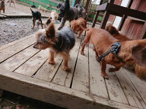 f:id:roukenhome-ann:20181115181903j:plain f:id:roukenhome-ann:20181115181903j:plain